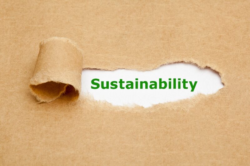 Sustainable Performance & AI-Accelerated Work: 5 Questions Every Leader Must Ask
