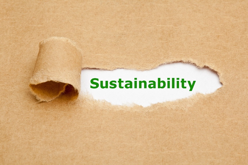 Sustainable Performance & AI-Accelerated Work: 5 Questions Every Leader Must Ask