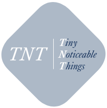 Tiny Noticeable Things